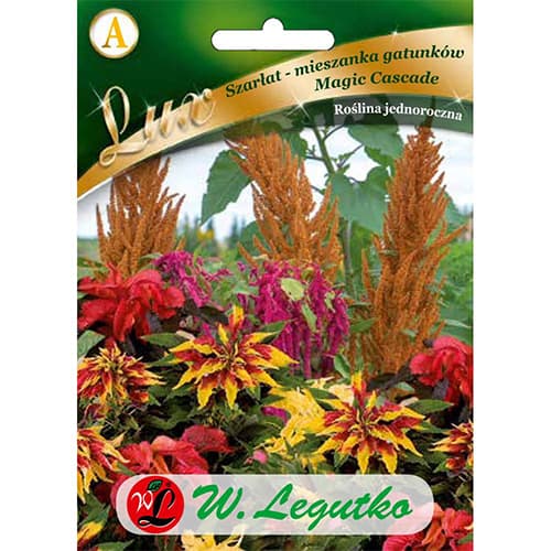 Disznóparéj (Amaranthus) Magic Cascade kép 1 termék 86758