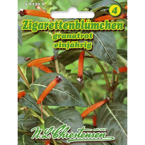 Puzdravirág Garnet Red kép 1 termék 96412