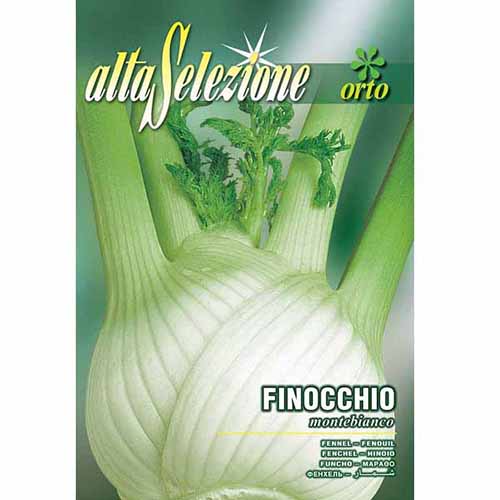 Édeskömény Montebianco kép 1 termék 96386