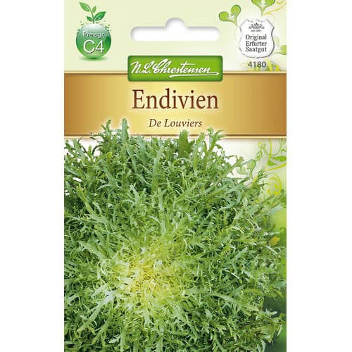 Endívia De Louviers kép 1 termék 78765