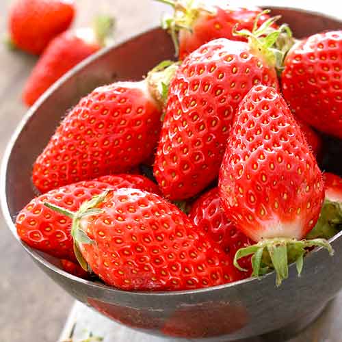 Eper Gariguette kép 1 termék 5197