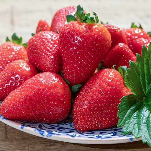 Eper Lambada kép 1 termék 5405