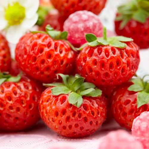 Eper Mieze Schindler kép 1 termék 5406