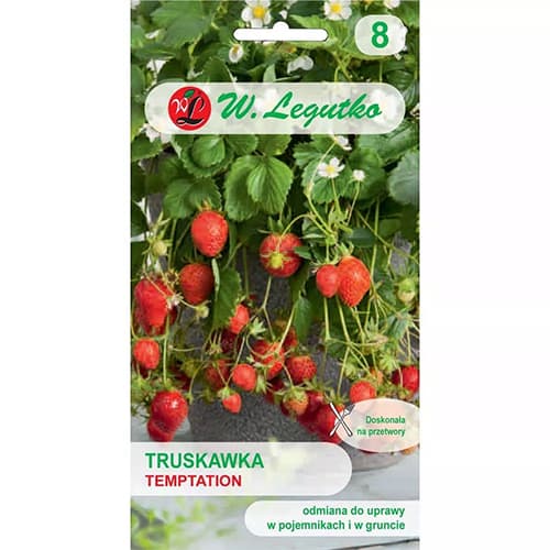 Eper Temptation kép 1 termék 69548