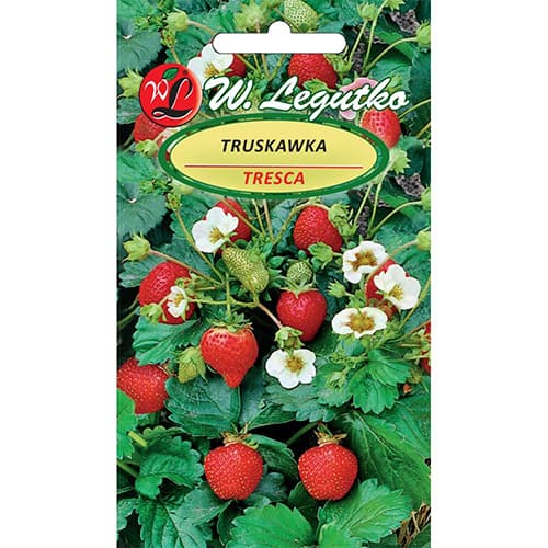 Eper Tresca kép 1 termék 86914