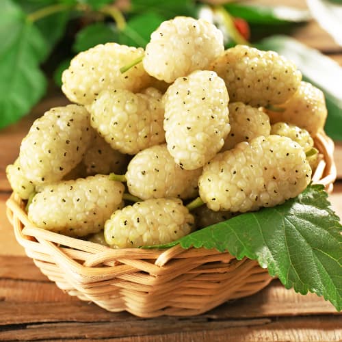 Eperfa fehér, P9 kép 1 termék 5858