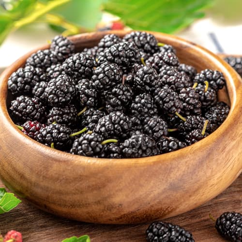 Eperfa fekete, P9 kép 1 termék 5859