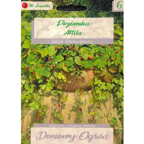 Erdei szamóca Attila kép 1 termék 69663