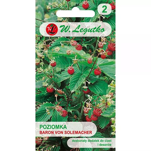 Erdei szamóca Baron von Solemacher termék fotó 1 Erdei szamóca Baron von Solemacher kép 1 termék 69529