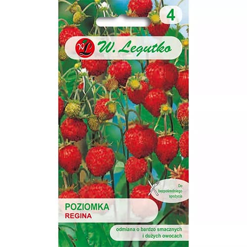 Erdei szamóca Regina kép 1 termék 86894