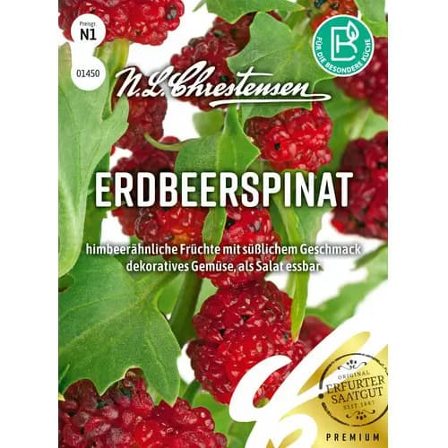 Erdei szamóca tatár kép 1 termék 96472