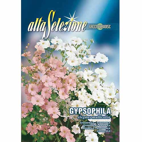 Fátyolvirág Eleganta, mix kép 1 termék 96335