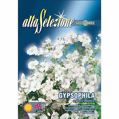 Fátyolvirág fehér viraggal termék fotó 1 Fátyolvirág fehér viraggal kép 1 termék 96336