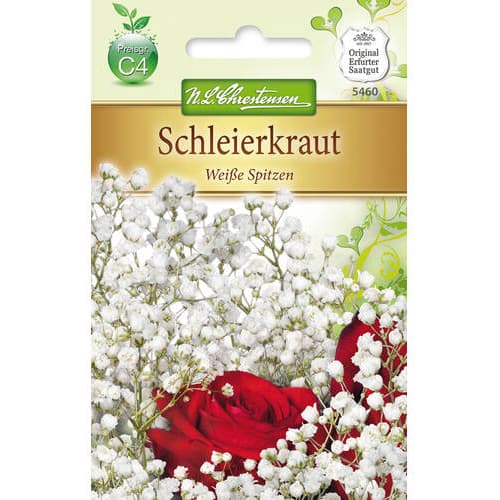 Fátyolvirág (Gypshopila) White Tips termék fotó 1 Fátyolvirág (Gypshopila) White Tips kép 1 termék 78974