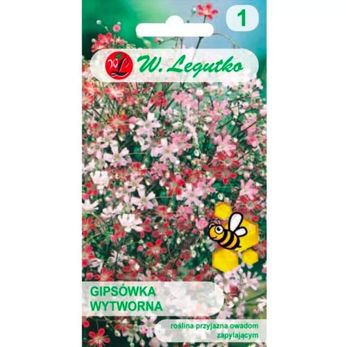 Fátyolvirág (Gypsophila), Mix Legutko kép 1 termék 78557