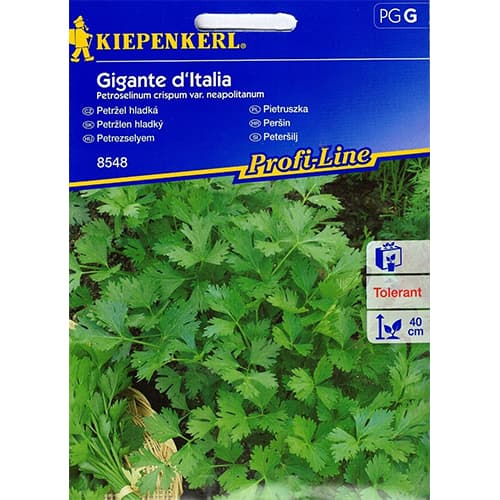 Petrezselyem levél Gigante d'Italia kép 1 termék 86503