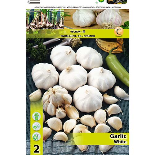 Fehér fokhagyma kép 1 termék 70500