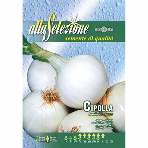 Fehérhagyma Tonda Musona kép 1 termék 87146