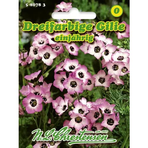 Fejecskés gomolyvirág Tricolor kép 1 termék 96458