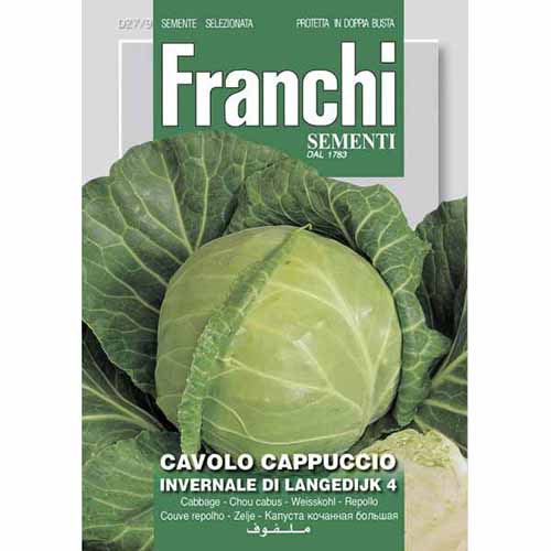 Fejes káposzta fehér Invernale di Langedijk 4 kép 1 termék 87192