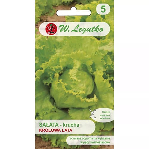 Fejessaláta Krolowa Lata kép 1 termék 78499