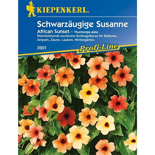Feketeszem Susanne African Sunset termék fotó 1 Feketeszem Susanne African Sunset kép 1 termék 86309