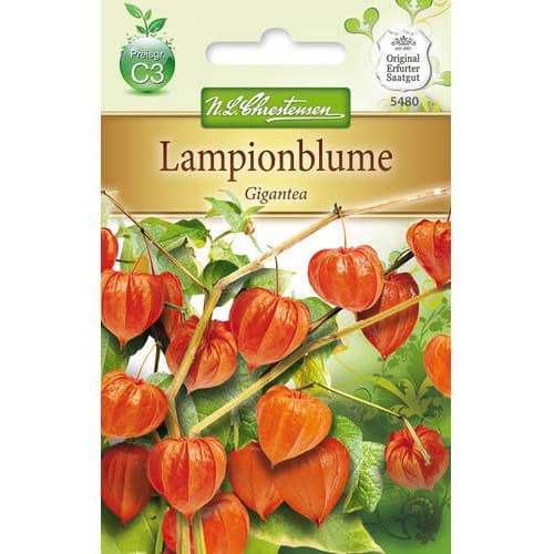 Földicseresznye Gigantea termék fotó 1 Földicseresznye Gigantea kép 1 termék 78976