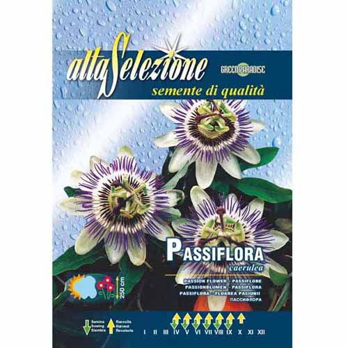 Golgotavirág (Passiflora) kép 1 termék 96337