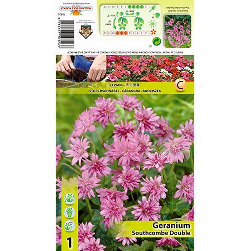 Gólyaorr (Geranium) Southcombe Double kép 1 termék 70391