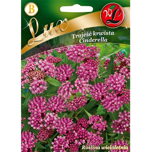 Gumós selyemkóró Cinderella kép 1 termék 96780