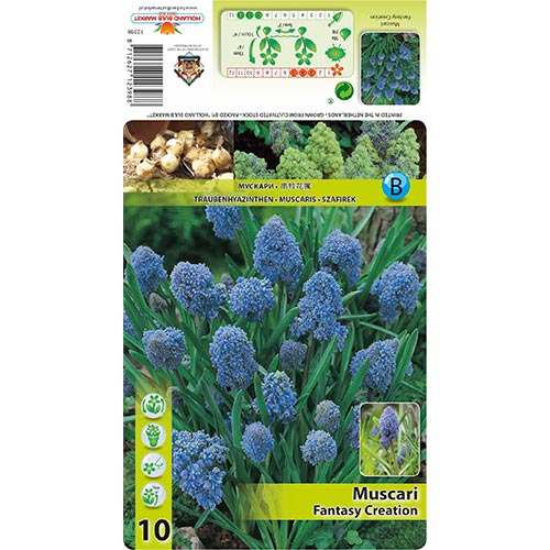 Gyöngyike Fantasy Creation kép 1 termék 67402