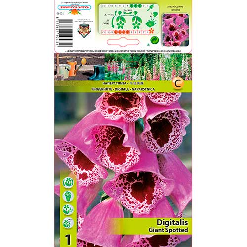 Gyűszűvirág (Digitalis) Giant Spotted kép 1 termék 70384