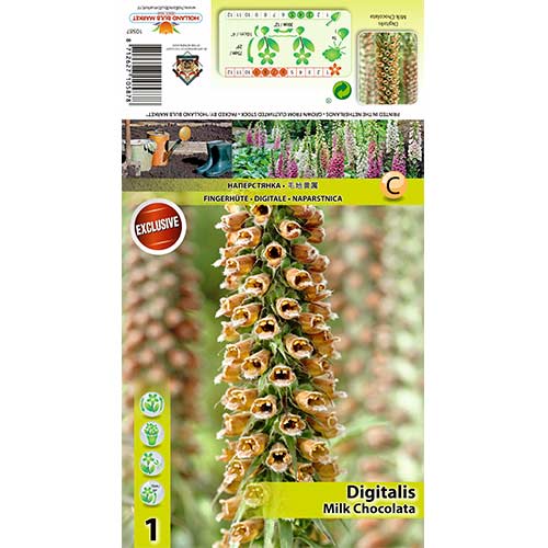 Gyűszűvirág (Digitalis) Milk Chocolate kép 1 termék 70385