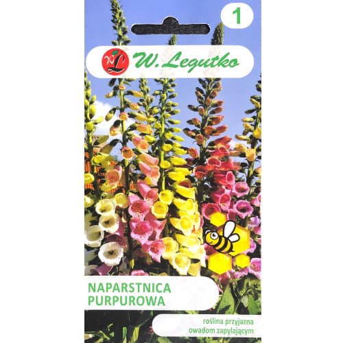 Gyűszűvirág lila Foxy Legutko kép 1 termék 96724