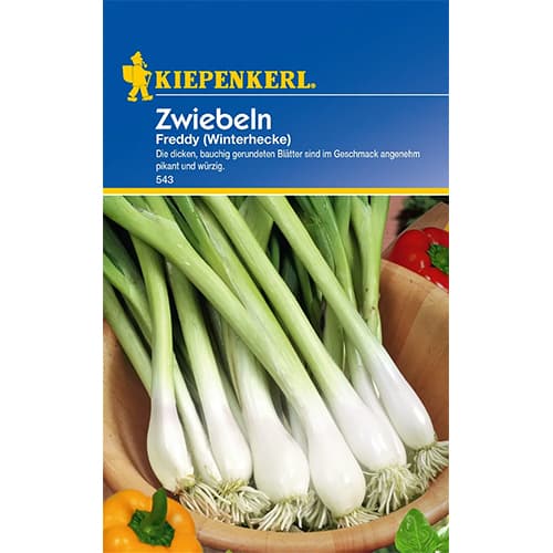 Zöldhagyma Winterhecke termék fotó 1 Zöldhagyma Winterhecke kép 1 termék 77460