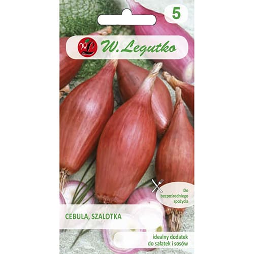 Hagyma Zebrune kép 1 termék 96816