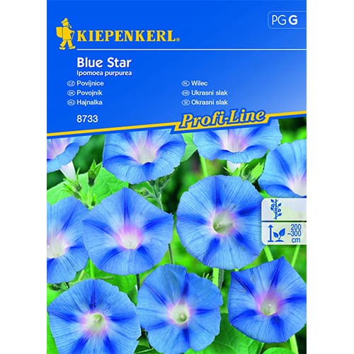 Hajnalka Blue Star kép 1 termék 86268