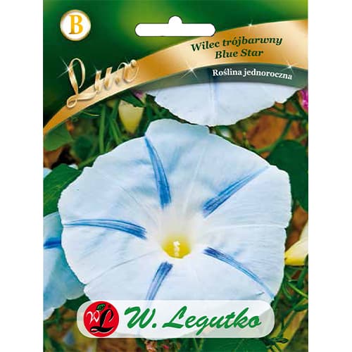 Hajnalka Blue Star termék fotó 1 Hajnalka Blue Star kép 1 termék 86759
