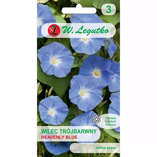 Hajnalka Heavenly Blue kép 1 termék 78595