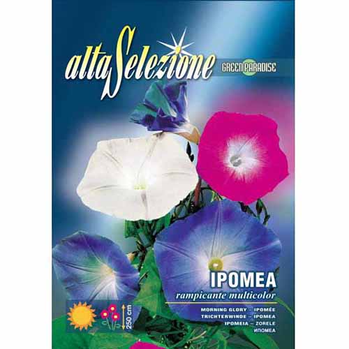 Hajnalka mászó kép 1 termék 96345