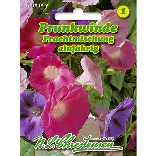 Hajnalka Splendid, színkeverék termék fotó 1 Hajnalka Splendid, színkeverék kép 1 termék 86178