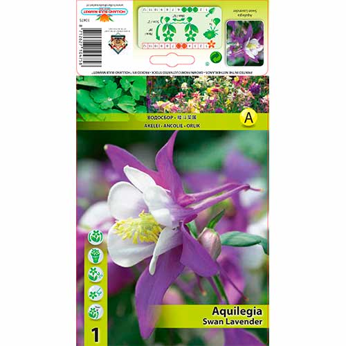 Harangláb (Aquilegia) Swan Lavender kép 1 termék 70348