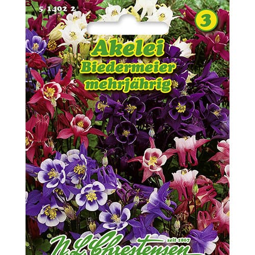 Harangláb Biedermeier, mix Chrestensen termék fotó 1 Harangláb Biedermeier, mix Chrestensen kép 1 termék 86119