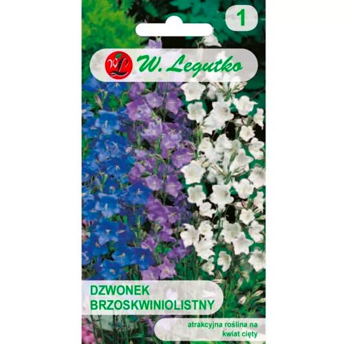 Harangvirág baracklevél Legutko kép 1 termék 50094