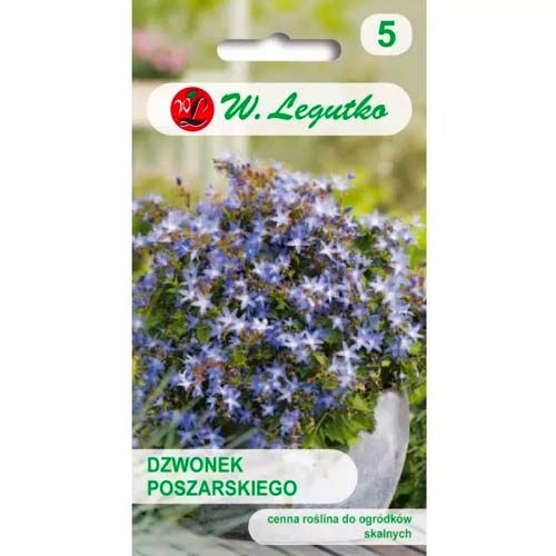 Harangvirág Poszarskiego Legutko kép 1 termék 50097