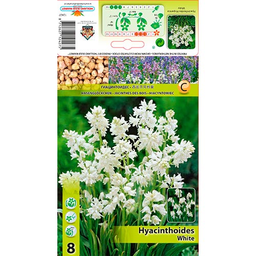 Harangvirág White termék fotó 1 Harangvirág White kép 1 termék 67370