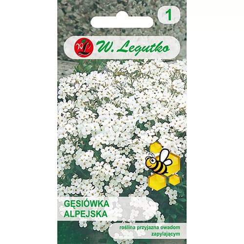 Havasi ikravirág, színkeverék termék fotó 1 Havasi ikravirág, színkeverék kép 1 termék 87861