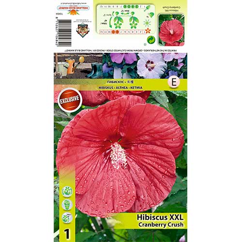 Hibiszkusz XXL Cranberry Crush termék fotó 1 Hibiszkusz XXL Cranberry Crush kép 1 termék 70415
