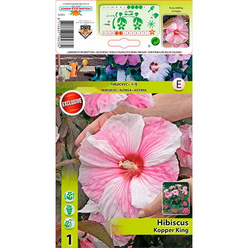 Hibiszkusz XXL Kopper King kép 1 termék 76585