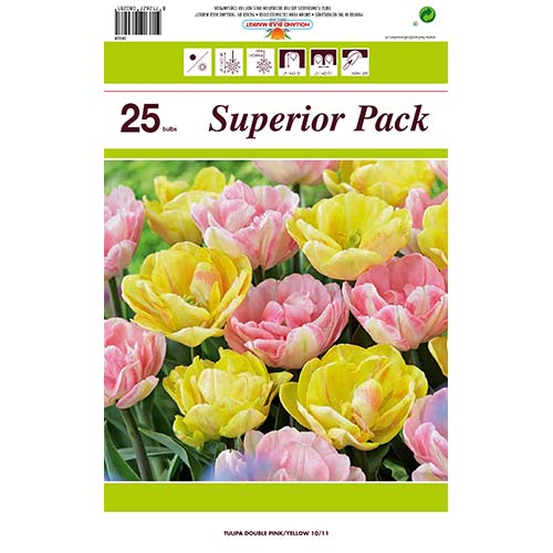 Hihetetlen ajánlat! 2 fajtából álló Tulipán készlet termék fotó 1 Hihetetlen ajánlat! 2 fajtából álló Tulipán készlet kép 1 termék 70316
